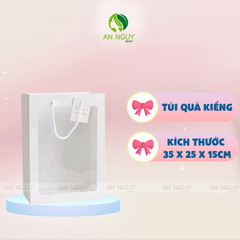 Túi Quà Trơn Kiếng Nhiều Màu