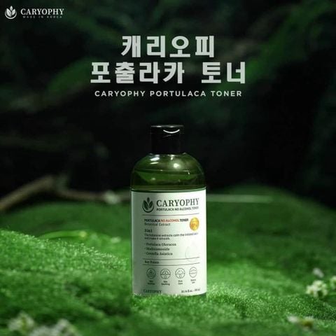 Nước Hoa Hồng Caryophy Portulaca Toner (No Alcohol) Ngừa Mụn, Kiểm Soát Dầu 300ml