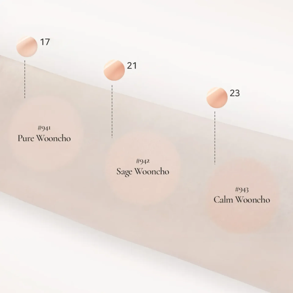 Phấn Nước Dinto Blur - Glowy Wooncho Cushion 12g Màu #943