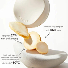 Phấn Nước Judydoll Moisturizing Cushion Foundation 14g