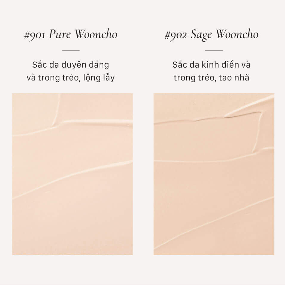 Phấn Nước Thuần Chay Dinto Blur-Finish Wooncho Cushion 12g