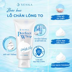 Sữa Rửa Mặt Đất Sét Trắng Senka Tạo Bọt Perfect White Clay Sạch Sâu, Dưỡng Da Sáng Mịn