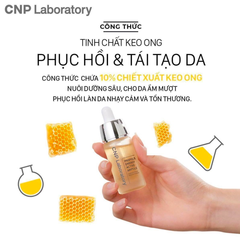 Tinh Chất Keo Ong Tái Tạo Phục Hồi Da CNP Laboratory Propolis Energy Active Ampule 15ml