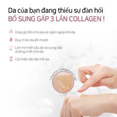Tinh Chất Maxclinic Ampoule Dưỡng Da Toàn Diện 100ml