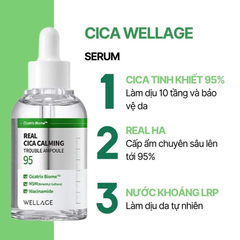 Tinh Chất Wellage Real Cica Calming 95 Trouble Ampoule Làm Dịu Da 50ml