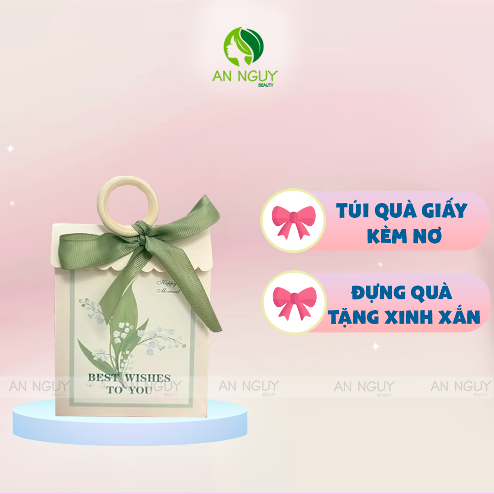 Túi Quà Giấy Có Nơ Best Wishes To You