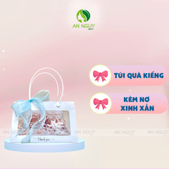 Túi Quà Trơn Kiếng Nhiều Màu