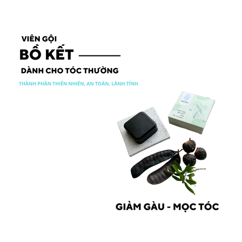 Viên Gội Bồ Kết 