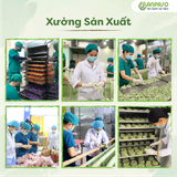 Set Mì rau củ Ngũ Sắc Ngũ Vị 1kg 