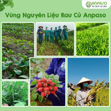  Nui Ăn Dặm Rau Củ Anpaso 150g 