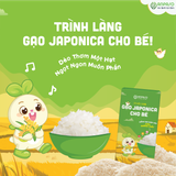  GẠO JAPONICA CHO BÉ ANPASO 1KG 