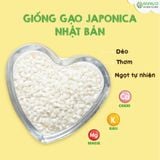  GẠO JAPONICA CHO BÉ ANPASO 1KG 