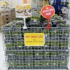 Pát Sắt Gấp Gọn 1602.1.10280 – Giải Pháp Thi Công Bàn Gấp Nhanh Gọn