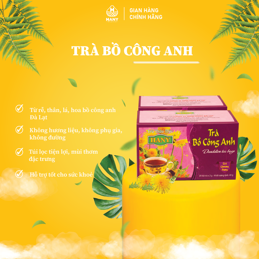 Trà Bồ Công Anh túi lọc HANY - Hộp 20 túi lọc