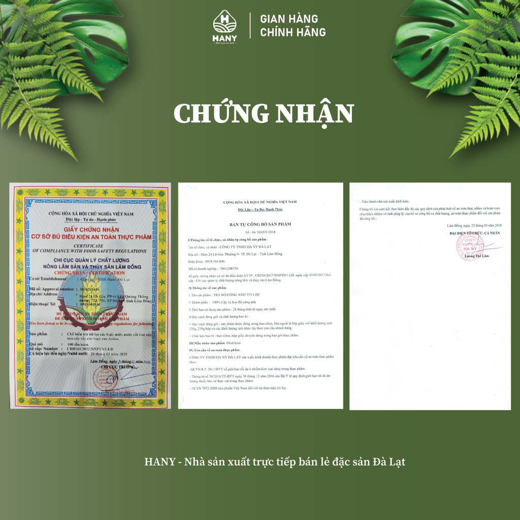 Trà Bồ Công Anh túi lọc HANY - Hộp 20 túi lọc