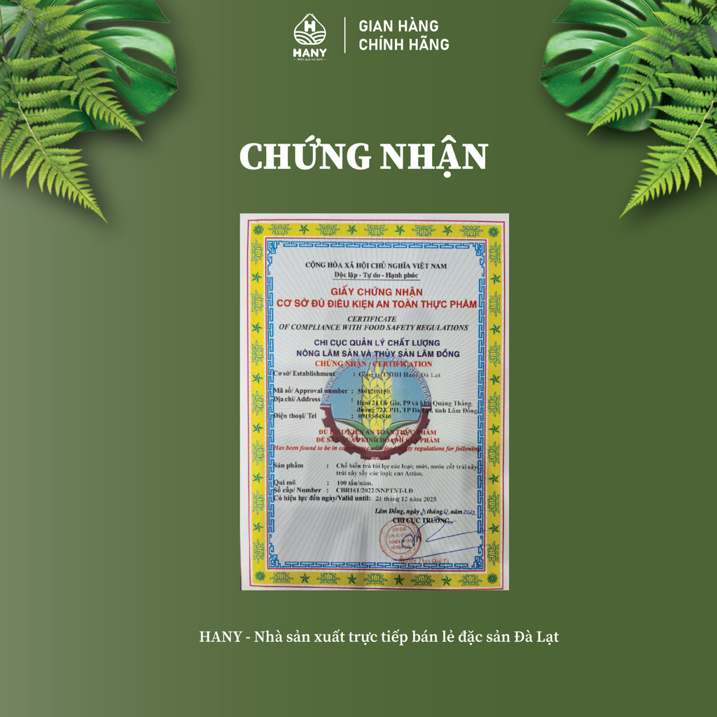 Trà Đinh Lăng 20 Túi Lọc HANY