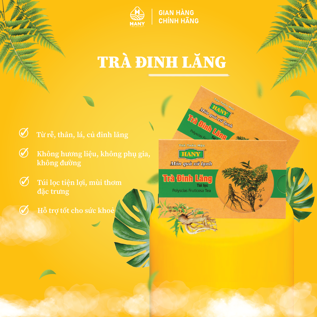 Trà Đinh Lăng 20 Túi Lọc HANY