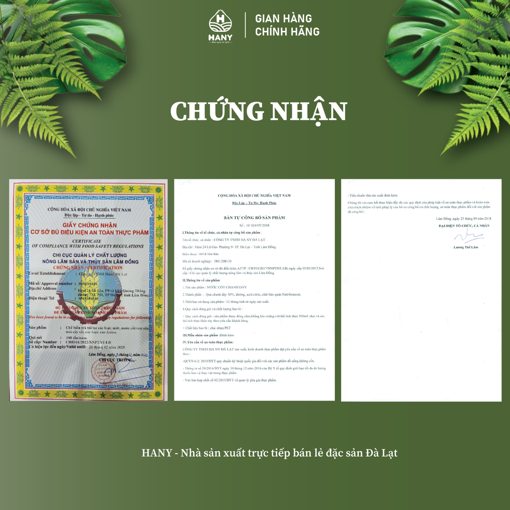 Nước cốt chanh dây HANY 300ml