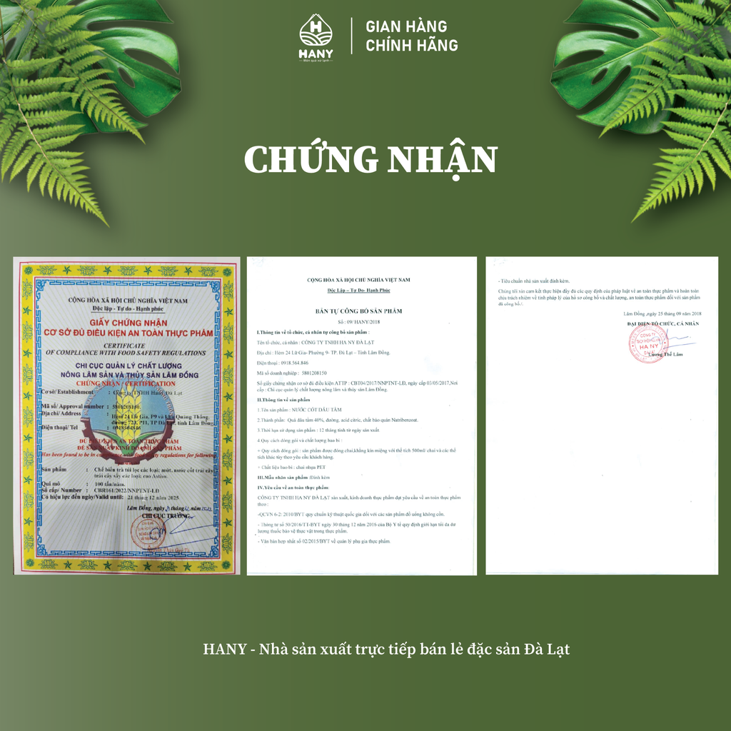 Nước cốt dâu tằm HANY 300ml