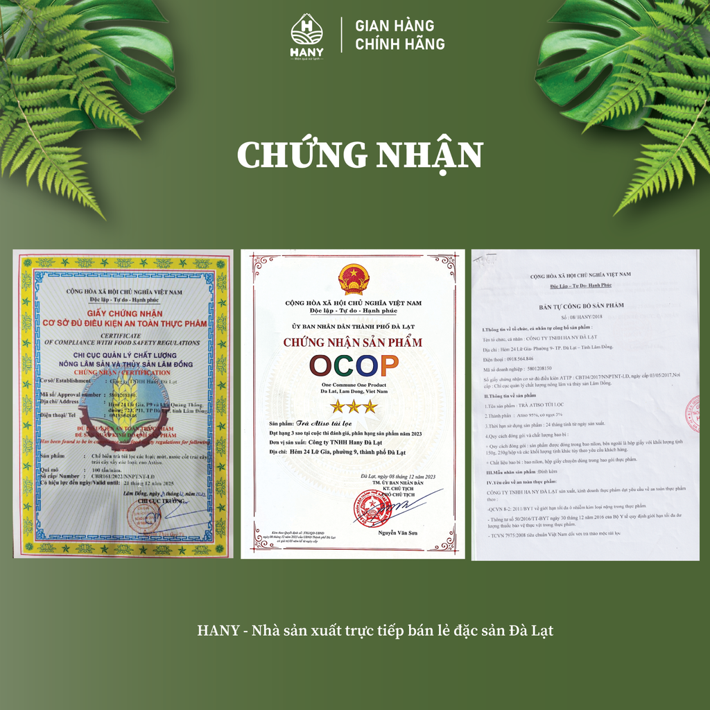 Trà Atiso túi lọc 100 Túi Lọc