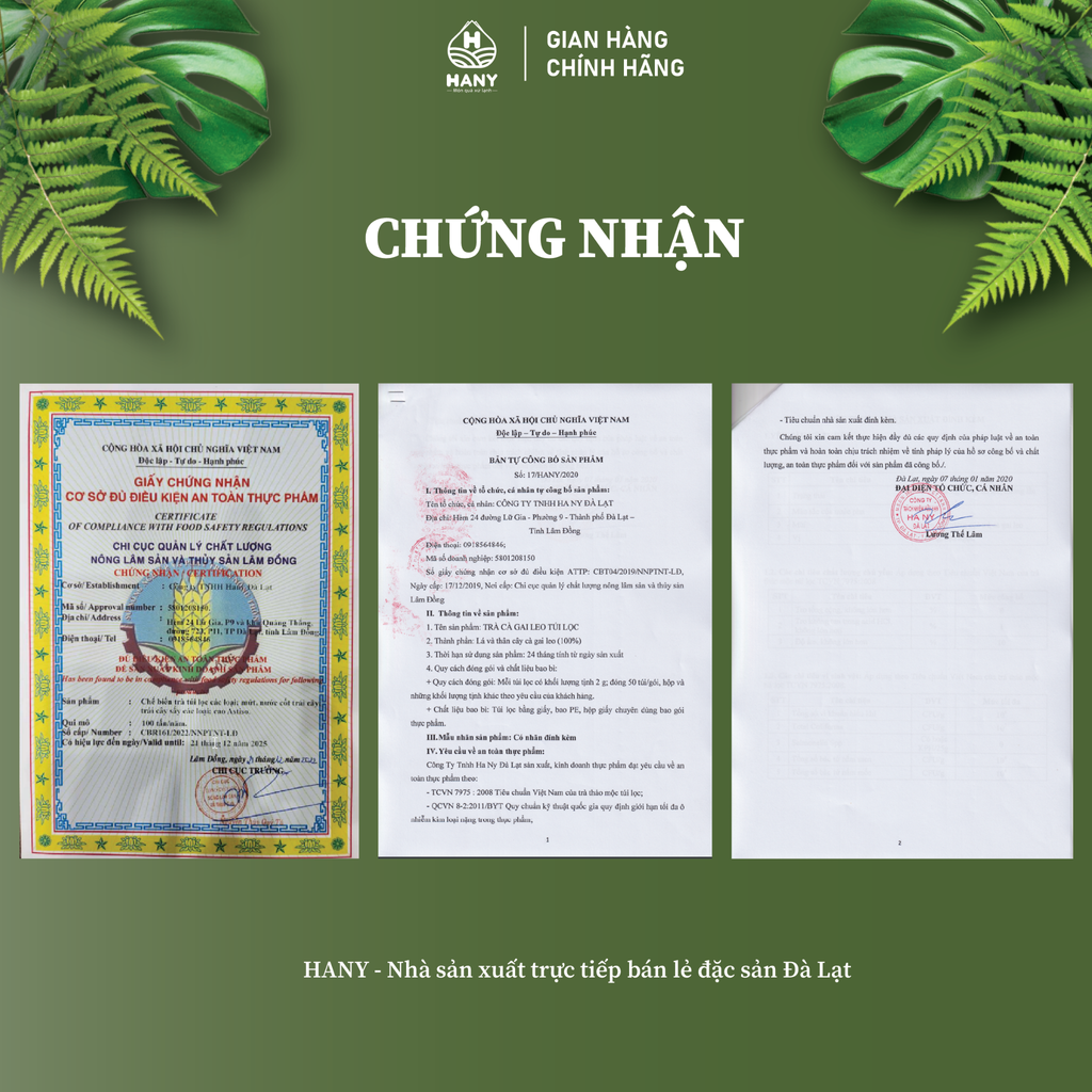 Trà Cà Gai Leo 50 túi lọc HANY