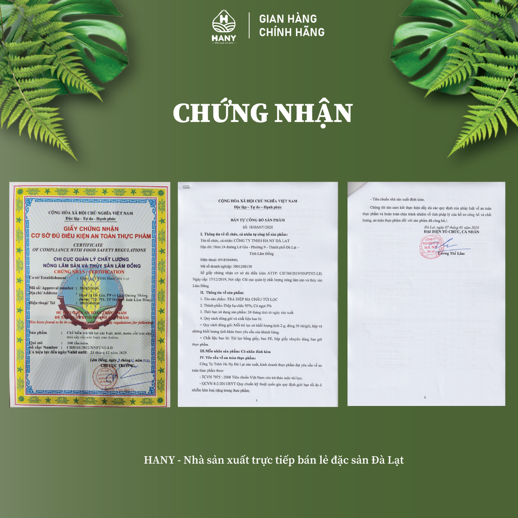 Trà Diệp Hạ Châu 50 túi lọc