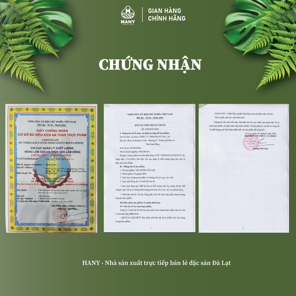 Trà Gừng 50 túi lọc