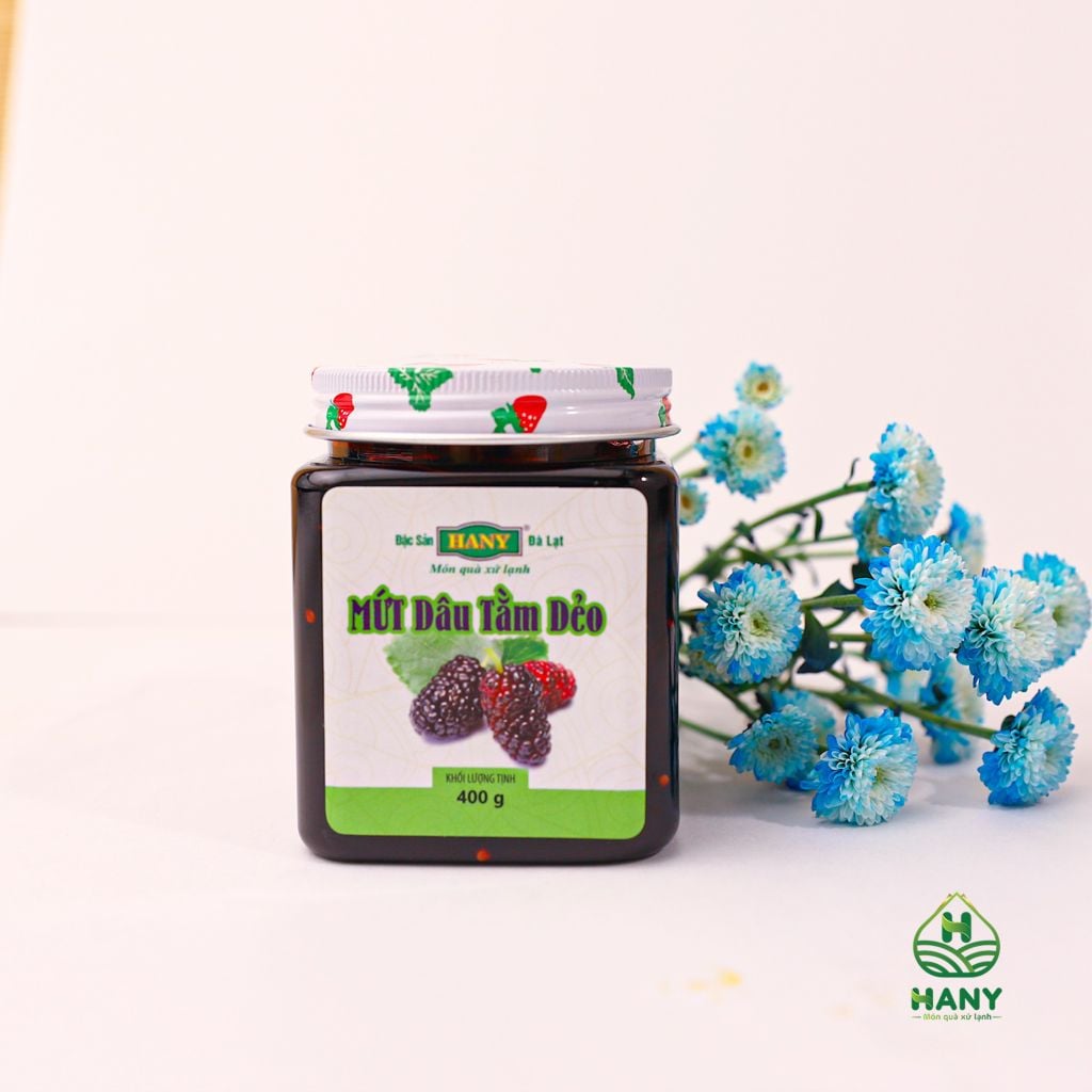 Mứt dâu tằm dẻo HANY hủ 400g