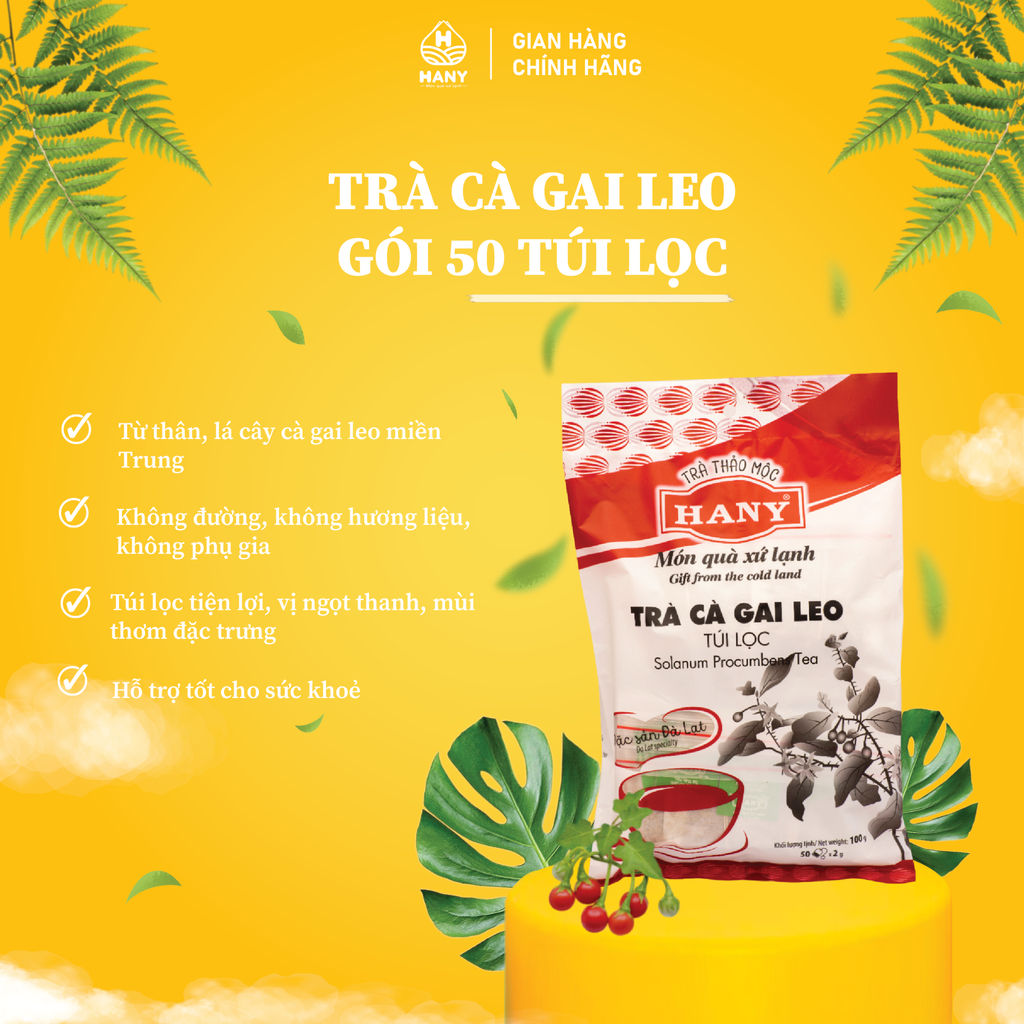 Trà Cà Gai Leo 50 túi lọc HANY