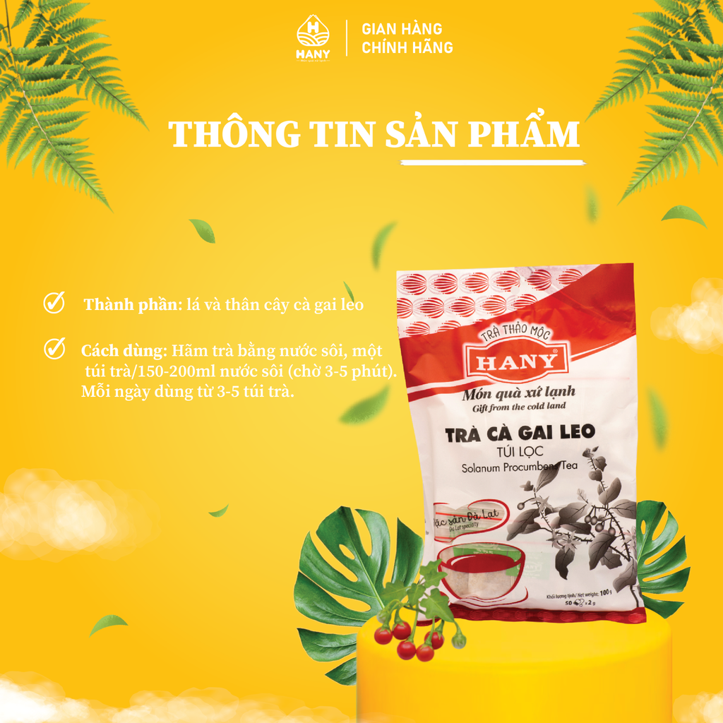 Trà Cà Gai Leo 50 túi lọc HANY