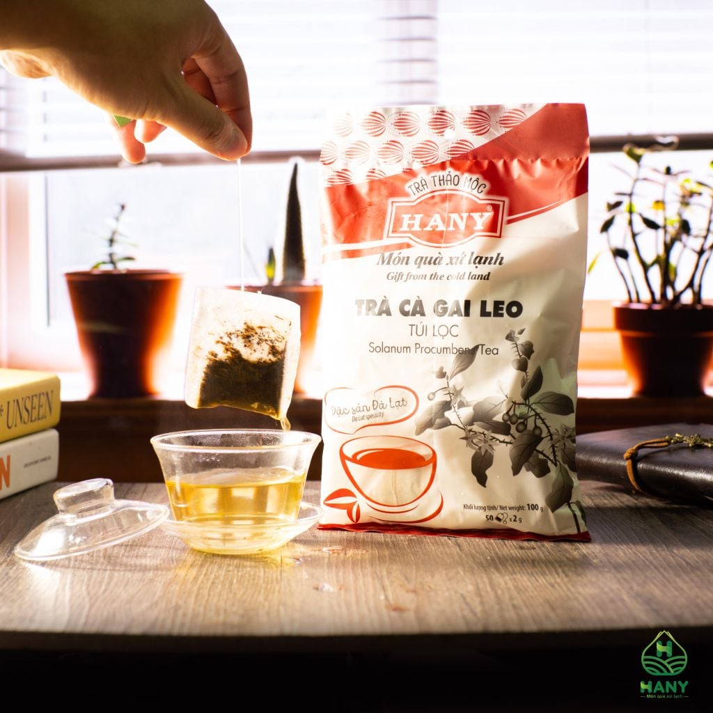 Trà Cà Gai Leo 50 túi lọc HANY