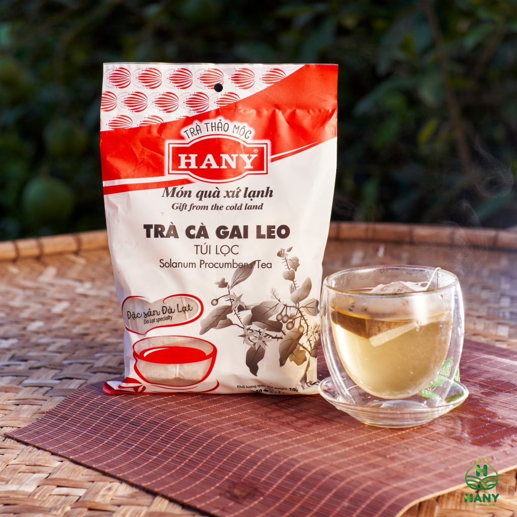Trà Cà Gai Leo 50 túi lọc HANY