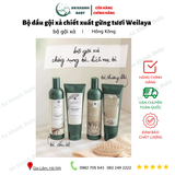  Bộ dầu gội xả chiết xuất gừng tươi Weilaya 
