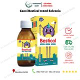  CANXI BESTICAL 