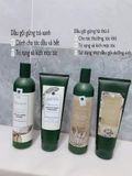  Bộ dầu gội xả chiết xuất gừng tươi Weilaya 