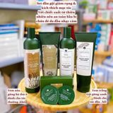  Bộ dầu gội xả chiết xuất gừng tươi Weilaya 