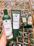  Bộ dầu gội xả chiết xuất gừng tươi Weilaya 