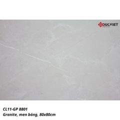 Gạch 80x80 VIGLACERA CL11-GP8801