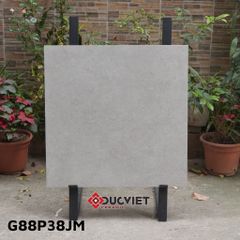 Gạch Taicera G88P38JM 80x80