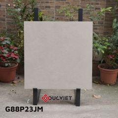 Gạch Taicera G88P23JM 80x80