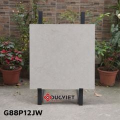 Gạch Taicera G88P12JW 80x80