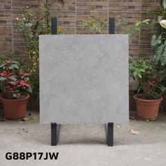 Gạch Taicera G88P17JW 80x80