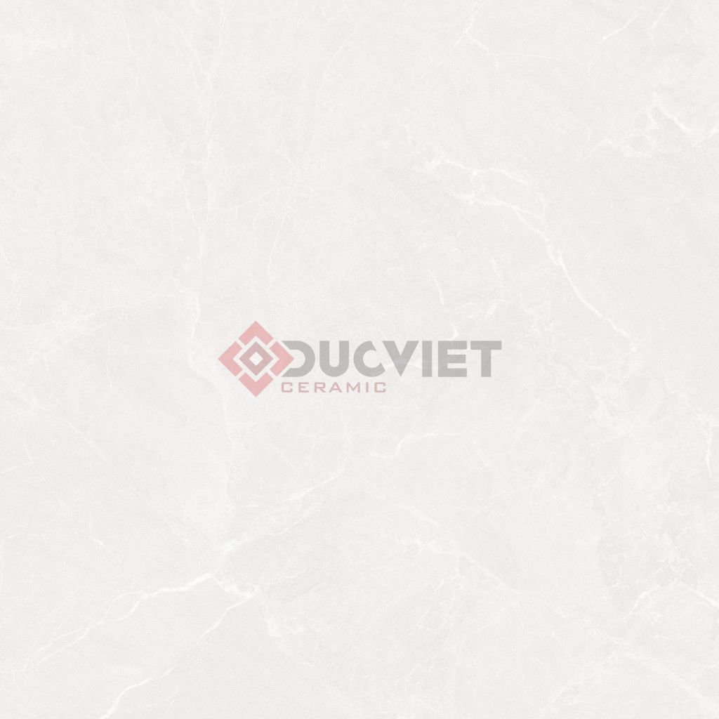 Gạch Grand Ceramics 60x60 AMM-66003