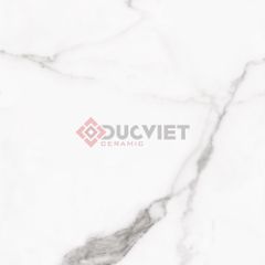 Gạch Grand Ceramics 80x80 AMM-88002