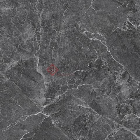 Gạch Grand Ceramics 80x80 AMM-88004