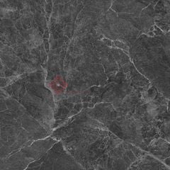 Gạch Grand Ceramics 80x80 AMP-88004