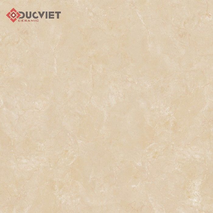 Gạch Viglacera 60x60 B6005