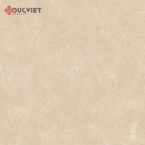 Gạch Viglacera 60x60 B6005