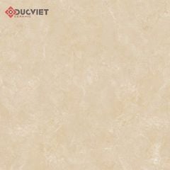 Gạch Viglacera 60x60 B6005