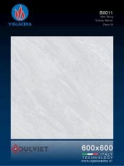 Gạch Viglacera 60x60 B6011